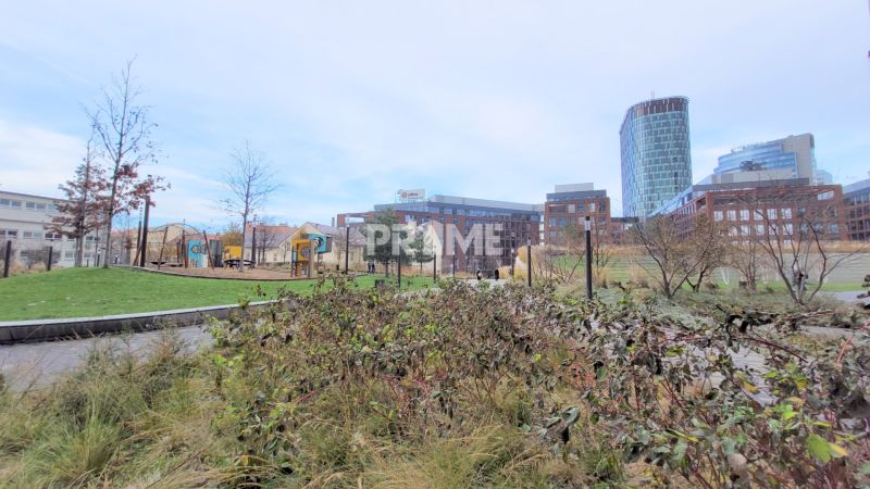 ŠTÝLOVÝ 2i byt, PARKING, KLÍMA, PARKING, Čulenova ulica, SKY PARK - V Bratislave - Starom Meste na Čulenovej ulici je parčík s detským ihriskom a výškovou budovou.
