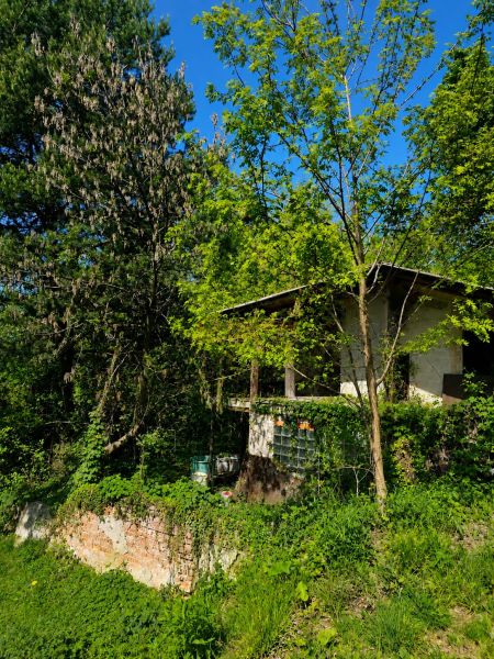 Záhrada s chatkou v tichej časti Košíc - Krásna, Šípková ul. - Chatka obklopená stromami a zeleňou v záhradách na Šípkovej ulici, Košice - mestská časť Krásna.