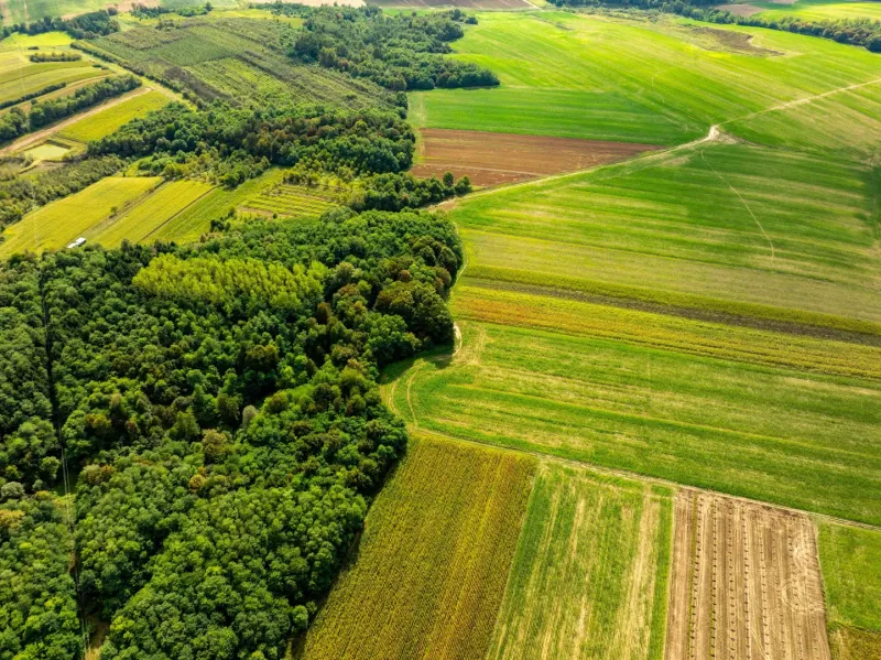 Rakytník – 4.666 m2 POĽNOHOSPODÁRSKE a LESNÉ pozemky