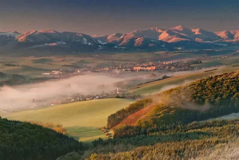 Jasenové – 918 m2 LESNÉ pozemky - PREDAJ