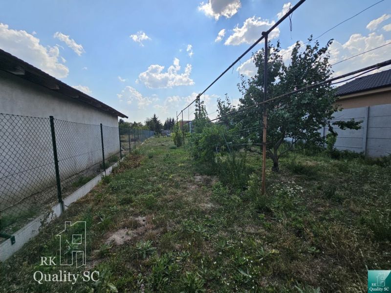 Okres Trnava- obec Pavlice – nehnuteľnosť s potenciálom - 4 izb. RD v  - Záhrada rodinného domu v Pavliciach s trávnatým pozemkom, plotom a stromami.