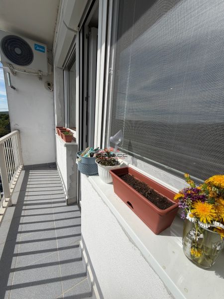 Ex. Moderný 3 iz. byt 90 m2 s garážou a záhradou v Dolnom Trhovišti - Balkón 3-izbového bytu so slnečným kvetinovým zátiším a výhľadom, Dolné Trhovište.