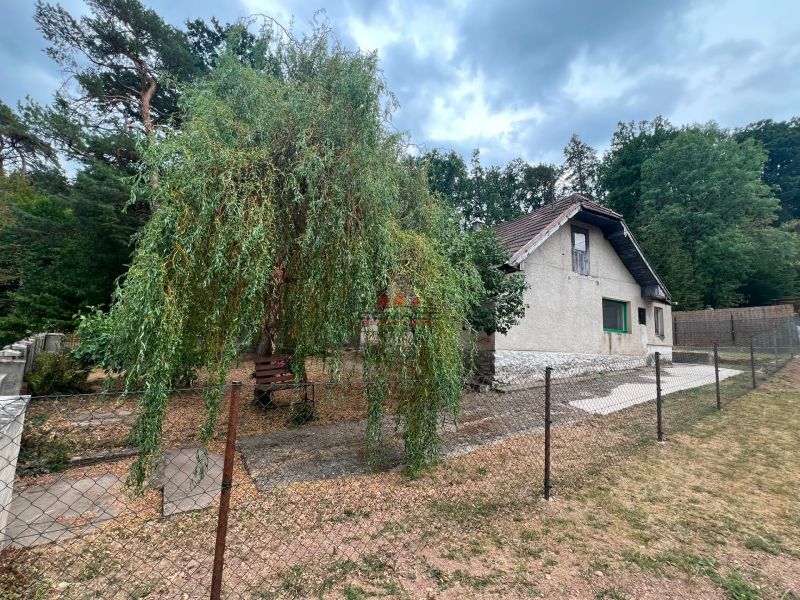 Exkl. 3 izbový rodinný dom v H. Orešanoch ZĽAVA - Rodinný dom v Horných Orešanoch s veľkým stromom a oplotenou záhradou.