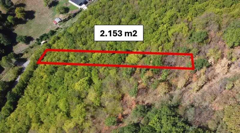 Župkov – 2.153 m2 LES v podiele 1/1 – Predaj