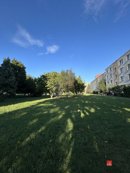 2i byt dispozične upravený na 4i, Nitra - Chrenová - Park na Ďumbierskej ulici v Nitre lemujú stromy a obytné domy.