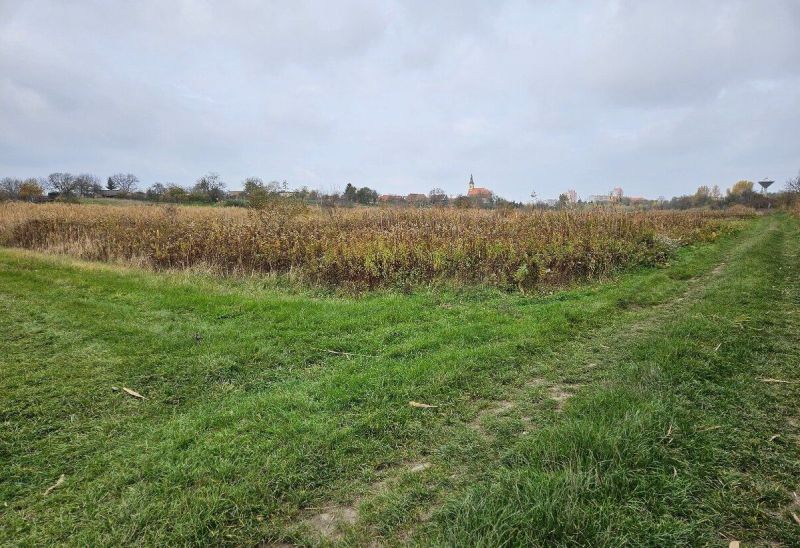 Pozemok o výmere 454 m2, schválený v Územnom pláne na stavbu RD - Pokojná poľná cesta so zeleňou a jeseňou pri Mast v Stupave v lokalite Záhrady.