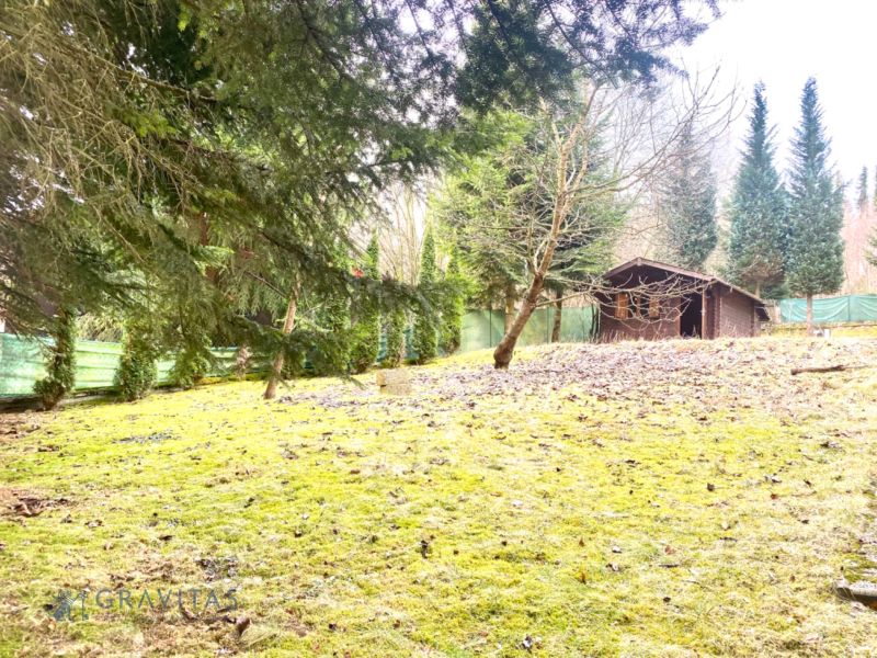 Rekreačný RD pri Oravskej Priehrade na Slanickej Osade - Záhrada a drevená chatka obklopená stromami, ideálne pre rodinný dom.