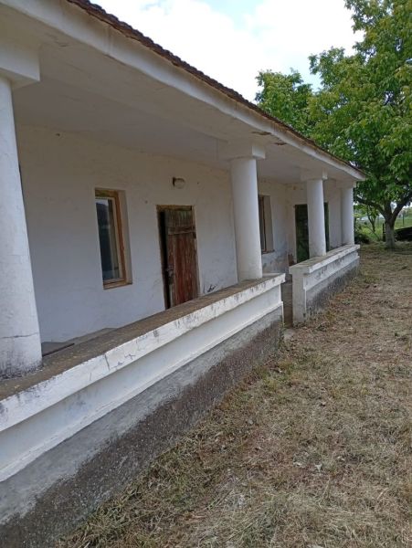 Vidiecky domček na predaj. - Rodinný dom v Ňárade s bielymi stĺpmi a verandou, obklopený zeleňou.