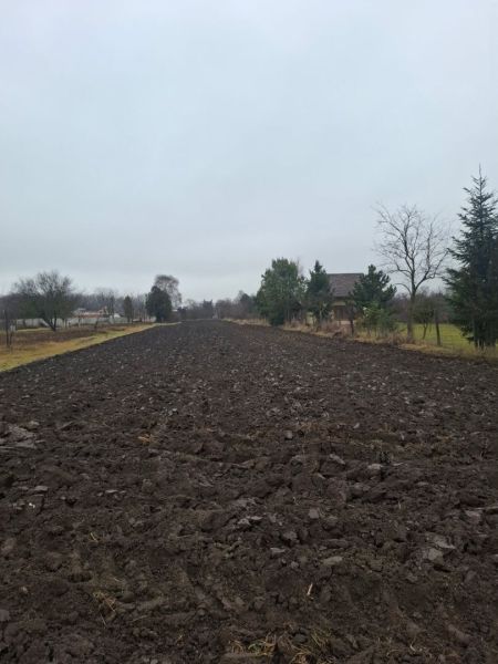 Znížená cena o 8000 eu. Pozemok na kľudnom mieste. - Obrobené pole v Záhradách mesta Dunajská Streda s vidieckou krajinou a stromami.
