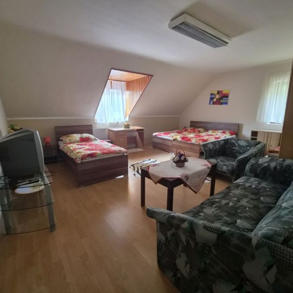 Prenájom 2-izbového apartmánu v Dunajskej Strede - Izba v podkroví s posteľami, pohovkou, televízorom a podlahou s dreveným dekorom.