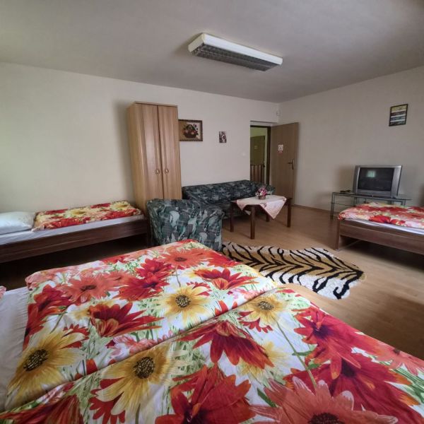 Prenájom 2-izbového apartmánu v Dunajskej Strede - Izba v 2-izbovom byte s posteľami, kreslami, televízorom a podlahou s dreveným dekorom.