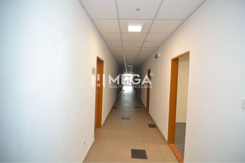 NA PRENÁJOM POSLEDNÉ VOĽNÉ kancelárie v centre mesta – 17,5 m² - Chodba s bielymi stenami a viacerými dverami v kancelárskom priestore.