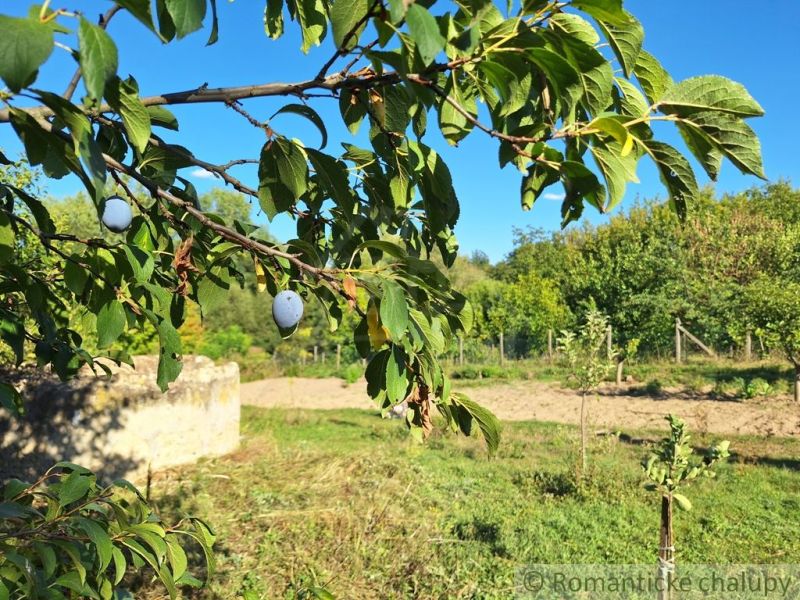 Čarovný rozľahlý pozemok s potokom na výstavbu rodinného domu v malebn
