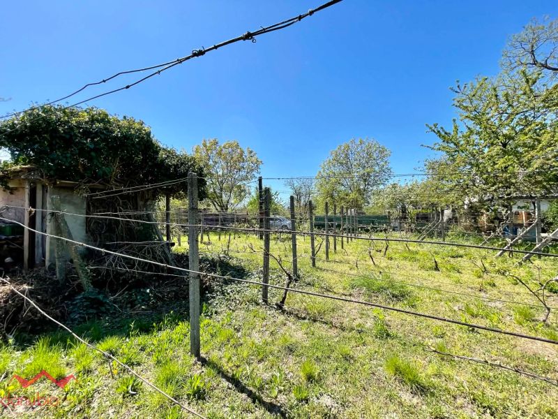 Vinica /400 m2/ s klenbovou vínnou pivnicou, Komárno