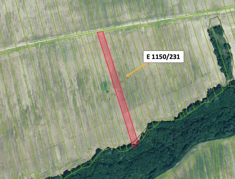 Drienov – 6.000 m2 ORNÁ PÔDA v podiele 1/1