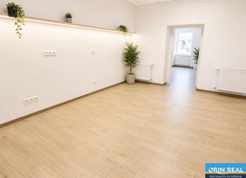 Na prenájom obchodný priestor v centre Pezinka 100m2 - Interiér obchodných priestorov s podlahou s dreveným dekorom a rastlinami v kvetináčoch.