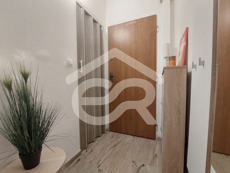 KOMPLETNE PREROBENÁ GARSÓNKA + PIVNICA: Nitra – Chrenová !  - Vstupná predsieň garsónky s podlahou s dreveným dekorom, zelenou rastlinou a rohovou skrinkou.