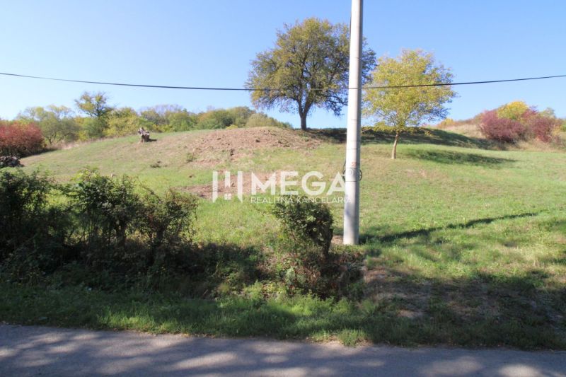 Na predaj pozemok aj na výstavbu v obci Vyšné Ladičkovce - Zeleň a stĺp na Pozemku - bývanie v lokalite Vyšné Ladičkovce, ulica Vyšné Ladičkovce.