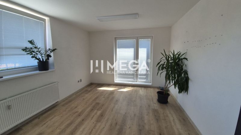 PRENÁJOM kancelárie blízko centra Humenného (20,53 m2) - Svetlá kancelária s dvomi rastlinami a podlahou s dreveným dekorom.