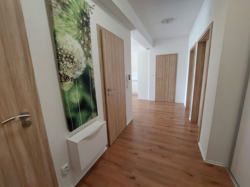 PRENÁJOM : MODERNÝ 3 IZBOVÝ BYT S TERASOU A GARÁŽOVÝM STÁTÍM, BELVEDER - Chodba v 3-izbovom byte s podlahou s dreveným dekorom a obrazom púpavy.