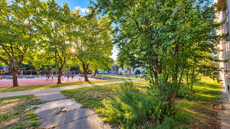 3-izbový byt v centre Pezinka, balkón, výťah, pivnica, komora - Park so zeleňou a chodníkom vedľa športového ihriska na ulici Za hradbami v Pezinku.