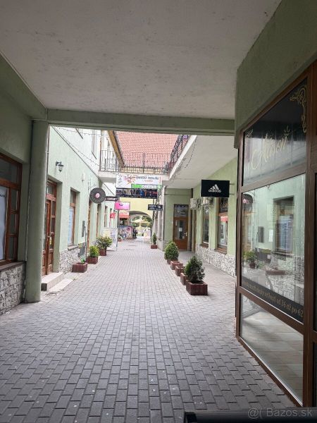 Obchodný priestor - TOP PONUKA V CENTRE - Pasáž s obchodnými priestormi v Topoľčanoch so stromčekmi a ceduľkami na budovách.
