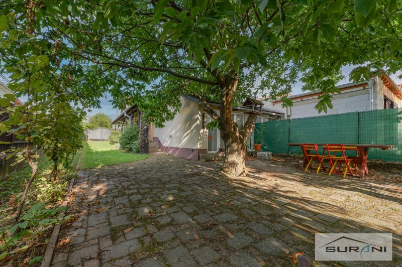 Starší rodinný dom s veľkou záhradou v obci Štefanová | okres Pezinok - Rodinný dom na Hlavnej ulici v Štefanovej obklopený zeleným dvorom s veľkým stromom.