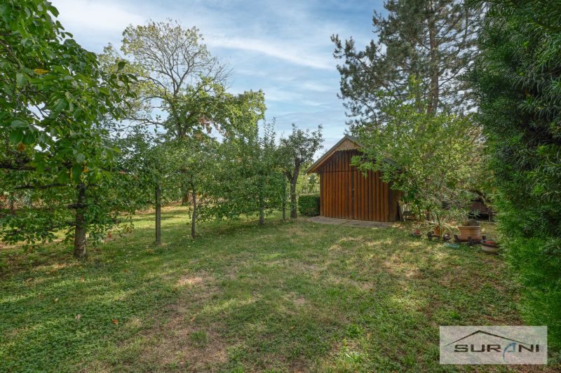 Starší rodinný dom s veľkou záhradou v obci Štefanová | okres Pezinok - Záhrada s trávnikom a drevenou stavbou na Hlavnej ulici v Štefanovej.