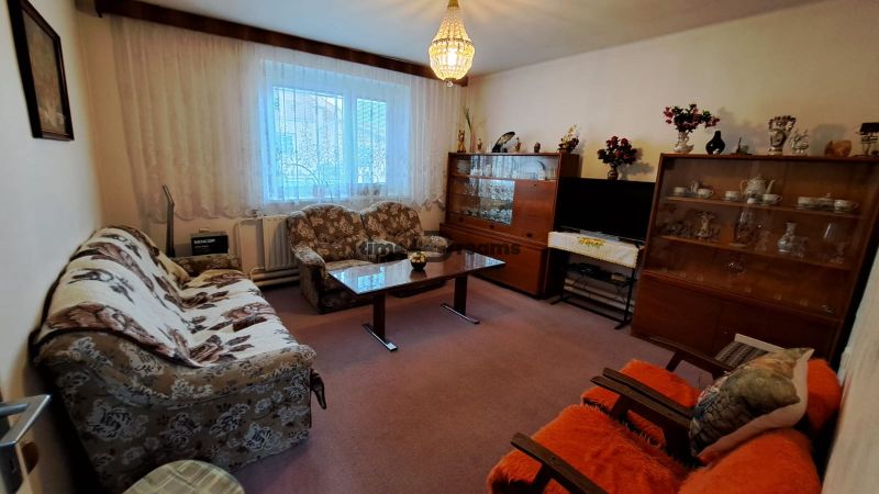 NA PREDAJ 6 izbový rodinný dom v obci Hrušovany  - Obývačka v rodinnom dome s kobercovou podlahou, nábytkom a dekoráciami.