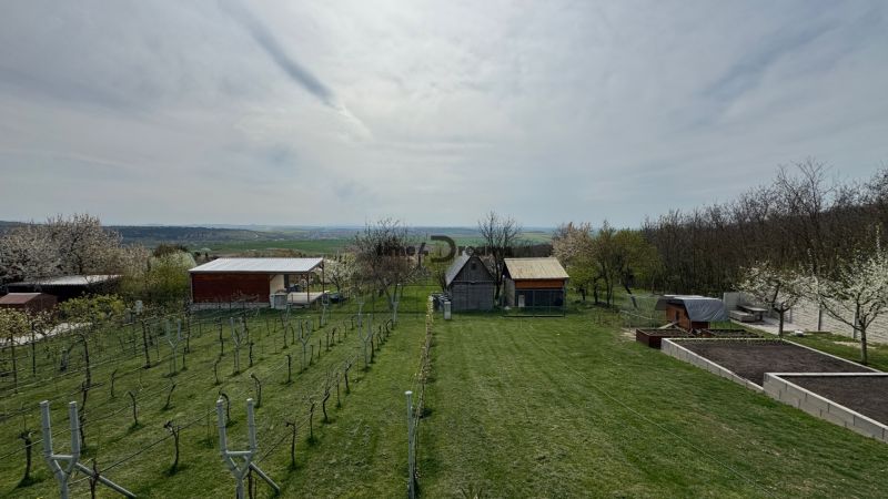 NA PREDAJ Rodinný dom v krásnom prostredí obce Štitáre NITRA - Vinica pri rodinnom dome v Štitároch s výhľadom na okolitú krajinu a záhrady.