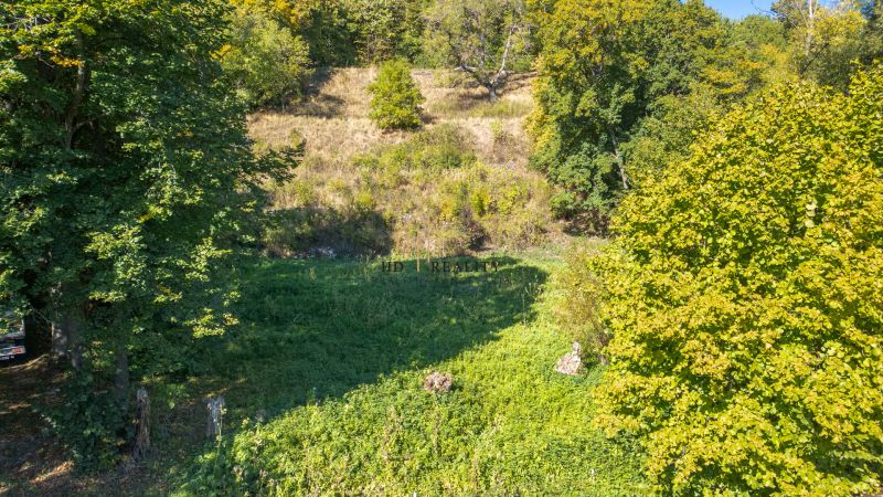 Predaj, rekreačné pozemky Štiavnické Bane - Zeleň a stromy na rekreačných pozemkoch v Štiavnických Baniach pod jesenným slnkom.