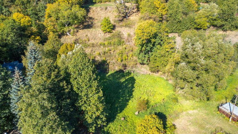 Predaj, rekreačné pozemky Štiavnické Bane - Lúčne svahy a stromy v rekreačných pozemkoch Štiavnických Baní.