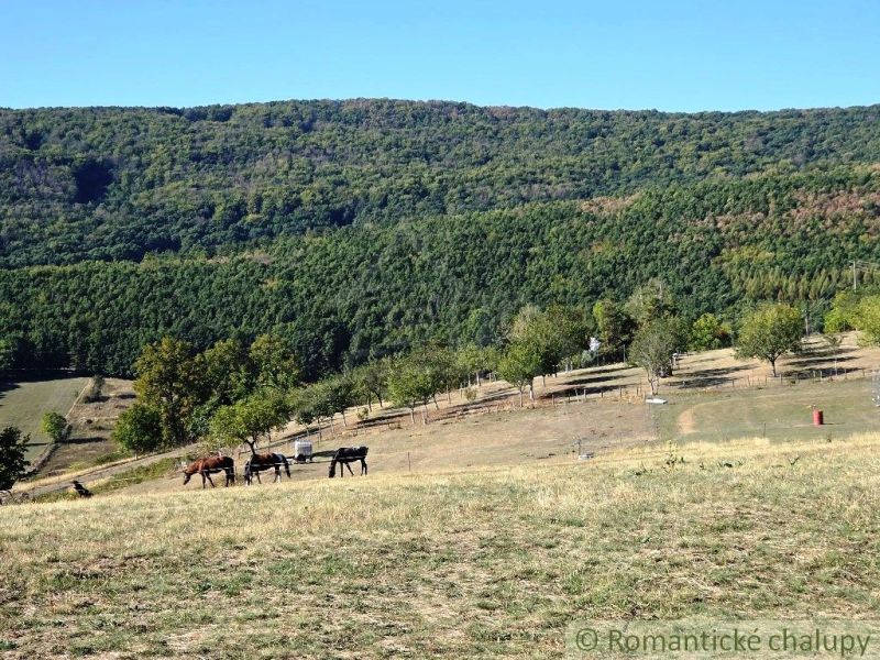 3106m2 stavebný pozemok nad priehradou v Krupine - Hory s pastvinou a koňmi v Záhradách pri Krupine pod bezoblačnou oblohou.
