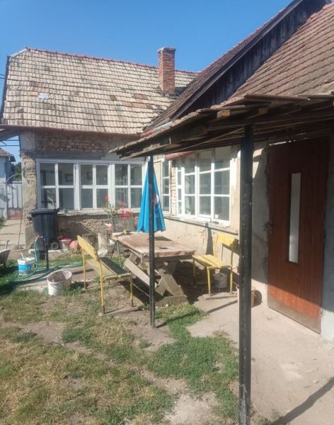 Priestranný 3-izbový rodinný dom s veľkou ovocnou záhradou v Gbelciach