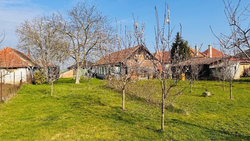 VIDIECKY DOM S DUŠOU + INVESTIČNÝ POZEMOK 1443 m² | BRANČ