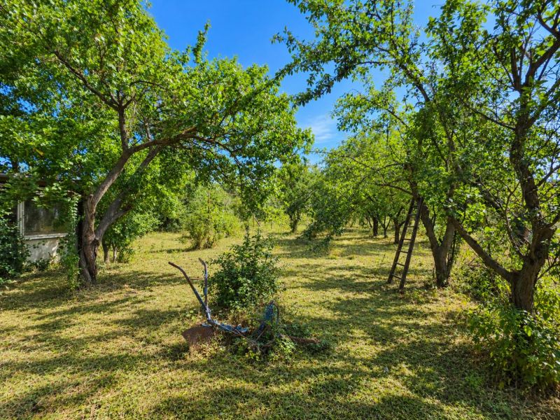 DOM LEN 20 MINÚT OD NITRY | 1 469 m² POZEMOK