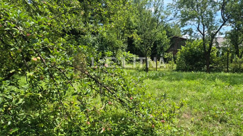 RODINNÝ DOM S VÝNIMOČNOU ZÁHRADOU, 1 141 M², BANSKÁ BYSTRICA  - Záhrada s ovocnými stromami za rodinným domom na Jakubskej ceste v Banskej Bystrici.