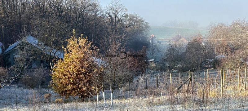 Na predaj: 2 izbový domček v Leviciach - Chata v Leviciach obklopená stromami a prírodou, ideálna na odpočinok a relax.