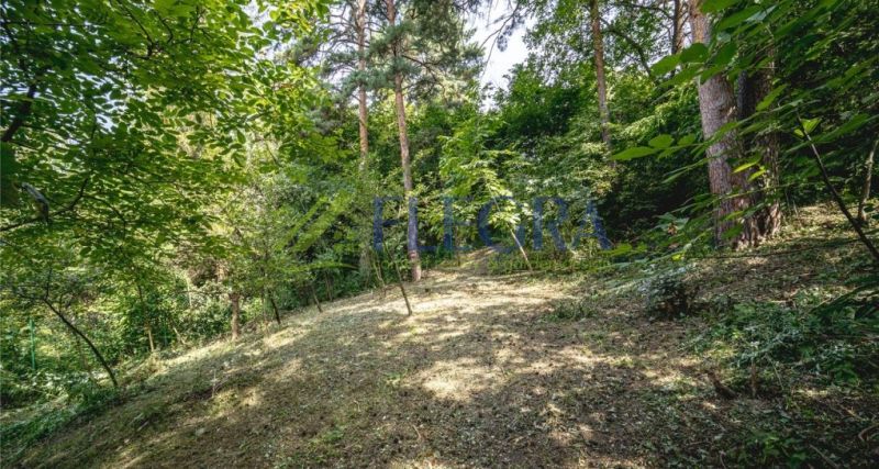 Rekreačná záhrada 1 441 m² v objatí prírody – Košice-Krásna