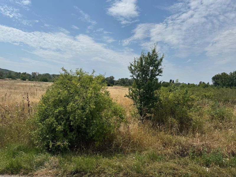 Predaj komerčného pozemku, Priemyselná 1, 92003 Hlohovec, Priemyselná