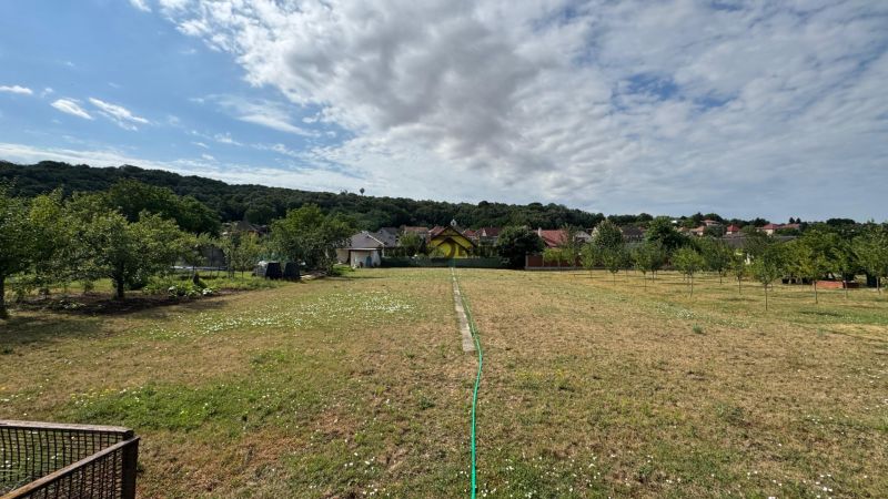NA PREDAJ poschodový Rodinný dom v Jarku - Veľký pozemok pri rodinnom dome v Jarku, obklopený zeleňou a modrou oblohou.