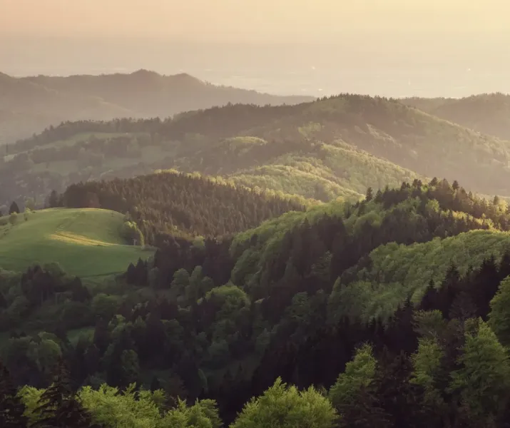 Závadka (HE) – 13.917 m2 LESOV (Urbáru)