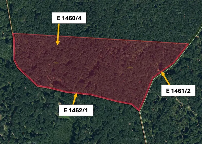 Kysta – 6.163 m2 LESNÝ pozemok - Predaj