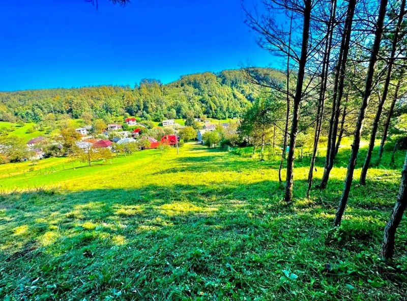 Stavebný pozemok 2 360 m² v obci Brestov - 3 km od Humenného.