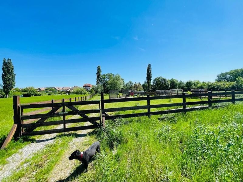 NOVÁ CENA ! VÝNIMOČNÝ POZEMOK V OBCI ŠTEFANOVÁ | 2 394 m²
