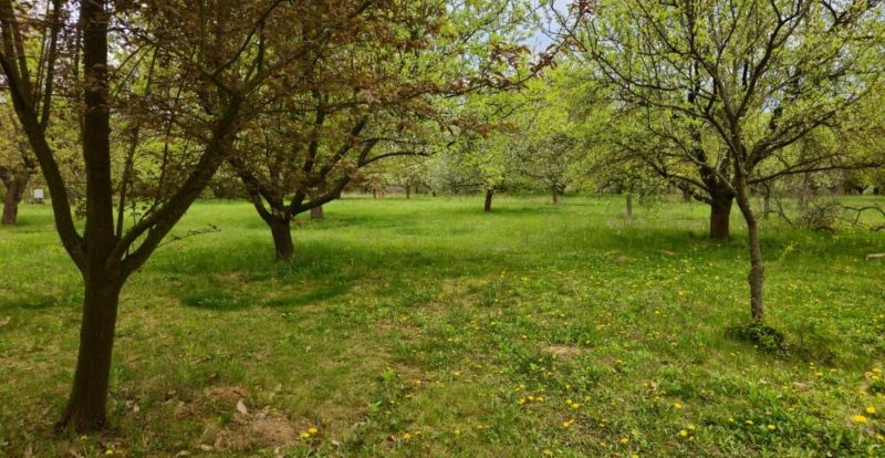 Predaj záhrady, Nitra