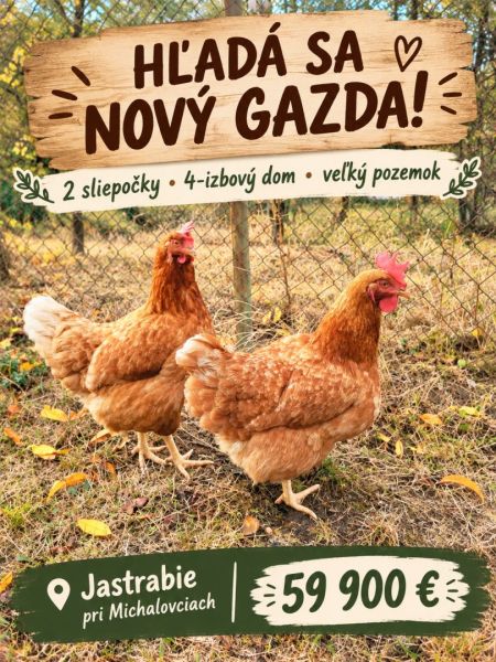 Dve sliepočky, veľký pozemok a 4-izbový dom / Jastrabie pri Michalovci