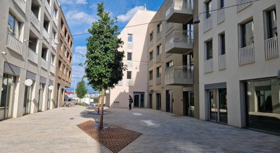 Kto má platiť províziu pri prenájme? Majiteľ, nájomca alebo pol na pol? 