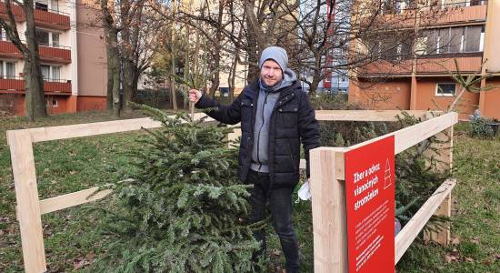 Pokus v Bratislave: Zber vianočných stromčekov do ohrádok
