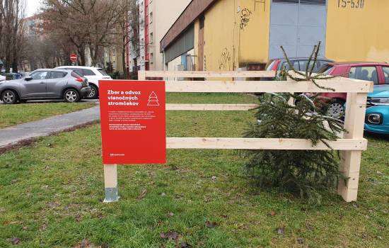 Pokus v Bratislave: Zber vianočných stromčekov do ohrádok